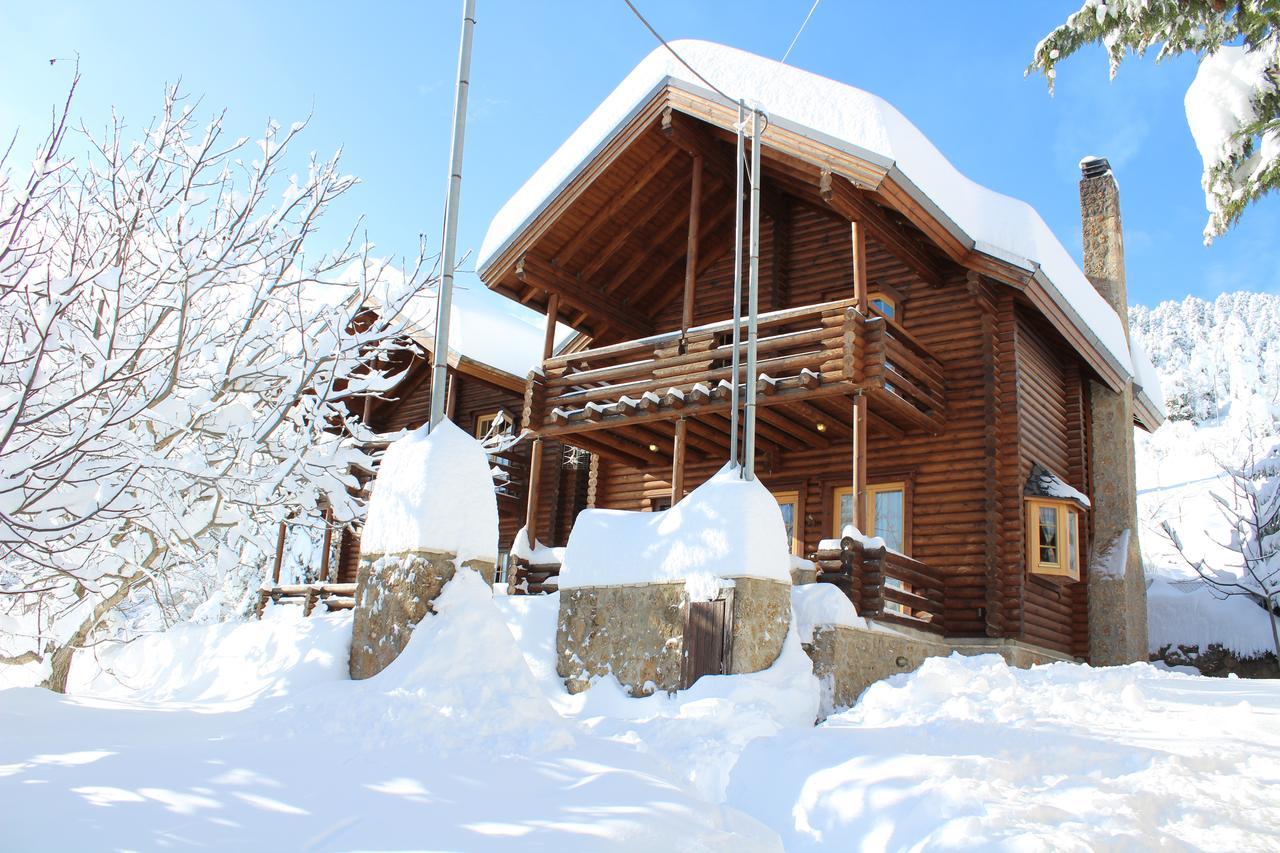 Paradise Chalet Áno Tríkala Kültér fotó