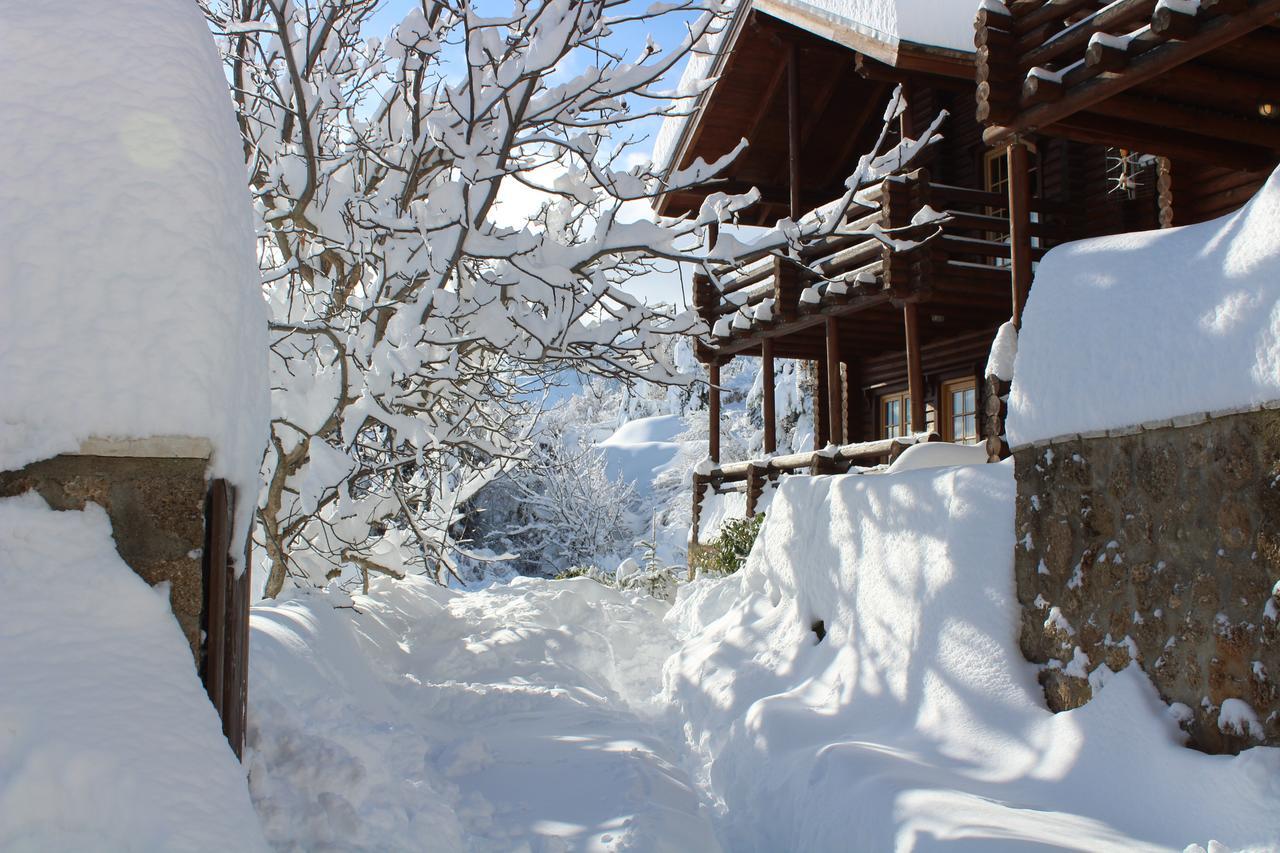 Paradise Chalet Áno Tríkala Kültér fotó